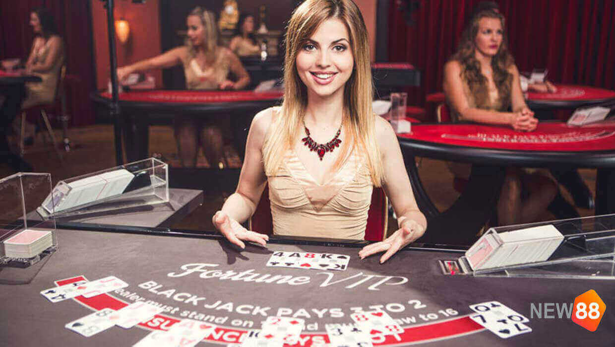 Casino NEW88 không chỉ cung cấp tỉ lệ cược hấp dẫn 
