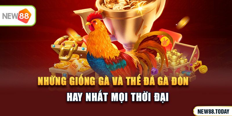 Những giống gà và thế đá gà đòn hay nhất mọi thời đại