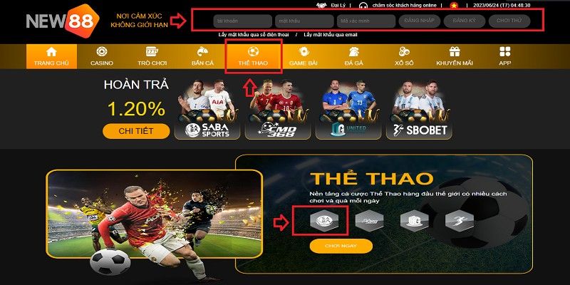 Chi tiết nội dung tham gia cá độ bóng đá NEW88 nhanh gọn